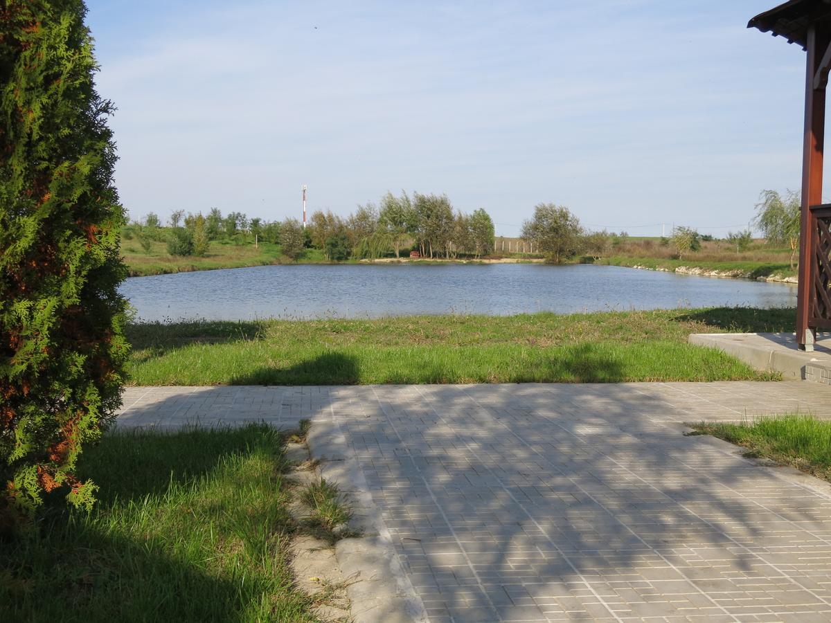 Conacul De Pe Lac Németság Kültér fotó
